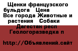 Щенки французского бульдога › Цена ­ 30 000 - Все города Животные и растения » Собаки   . Дагестан респ.,Геологоразведка п.